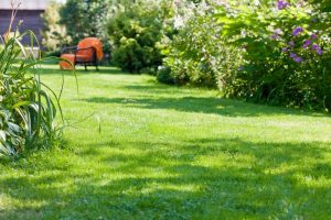 travaux jardin et paysage Veuves